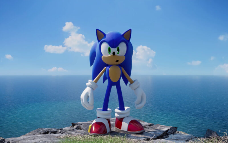 this is the space the hedgehog needs to run